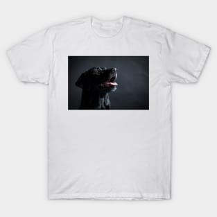 Labrador Retriever T-Shirt